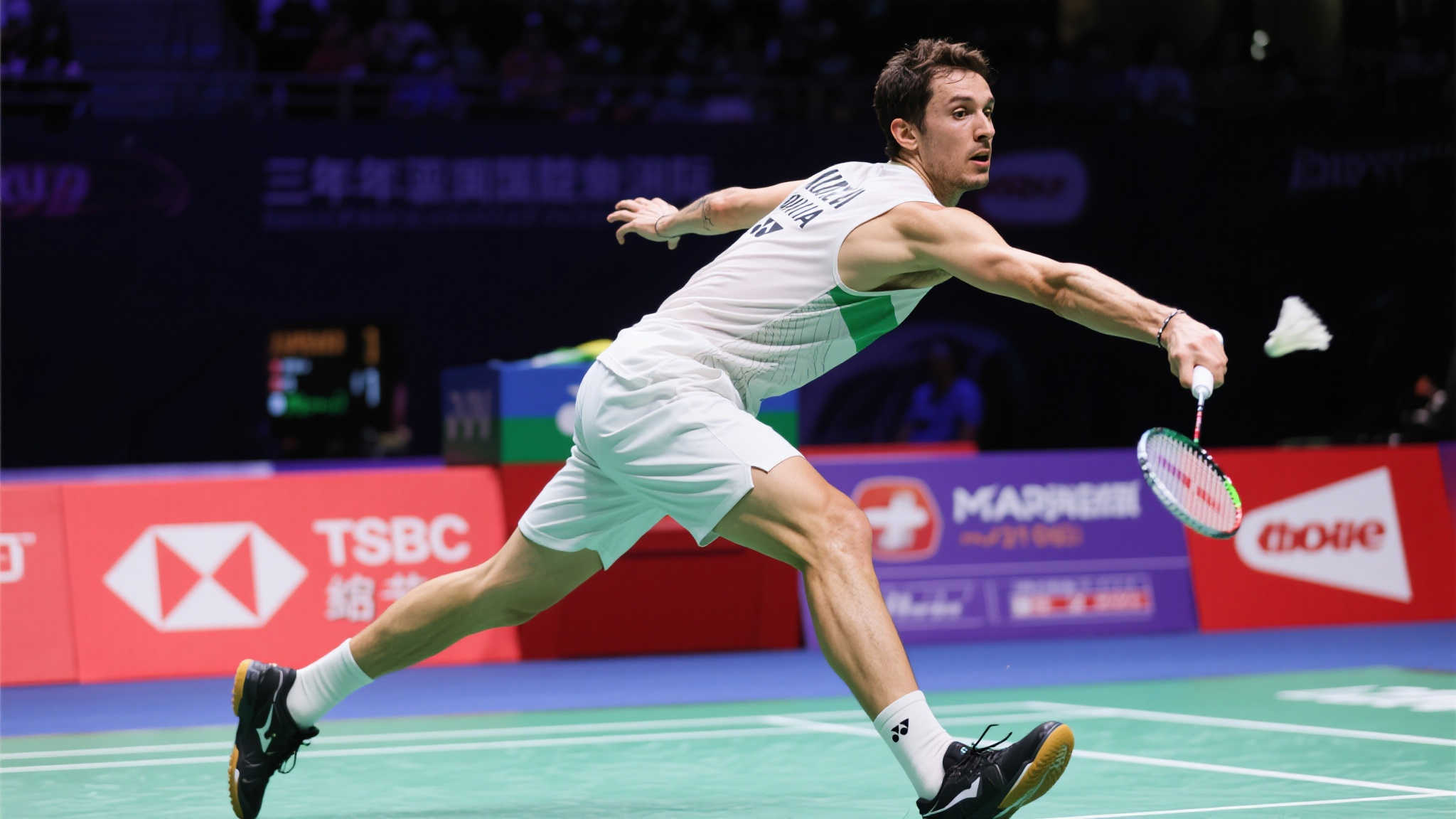 leisu体育概况简介